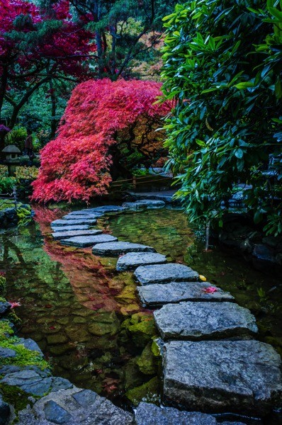 Ultimate Guide to Landscape Photography: Expert Tips & Techniques from dPS