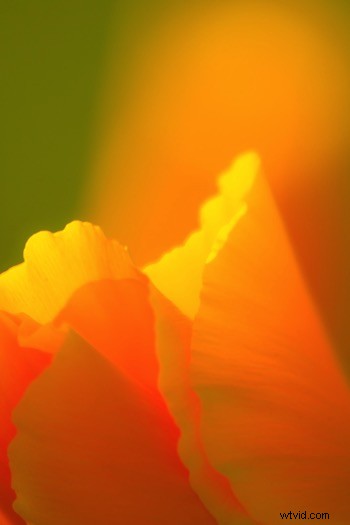 Ultimate Guide to Landscape Photography: Expert Tips & Techniques from dPS