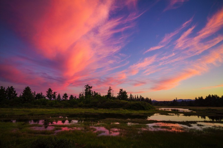 Ultimate Guide to Landscape Photography: Expert Tips & Techniques from dPS