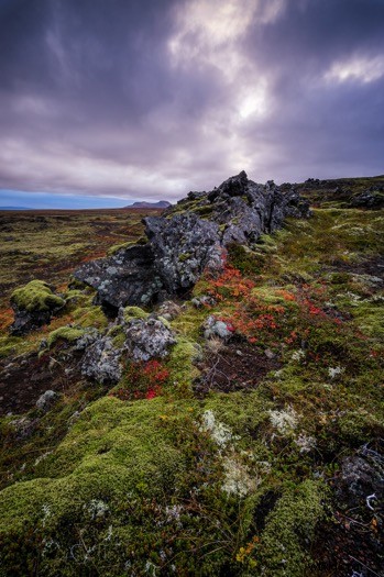 Ultimate Guide to Landscape Photography: Expert Tips & Techniques from dPS