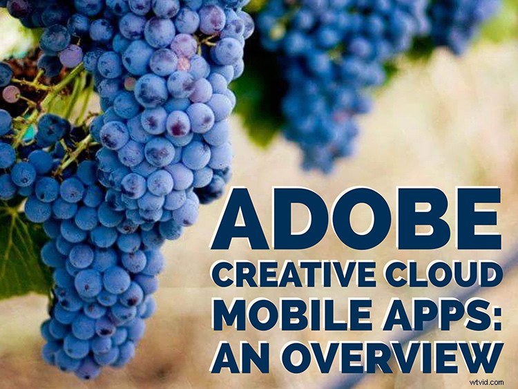 Explore 8 Essential Adobe Creative Cloud Mobile Apps: Your Complete Guide