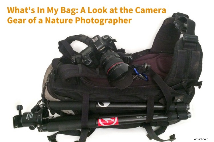 Essential Camera Gear for Nature Photographers: Inside My Pro Bag Revealed