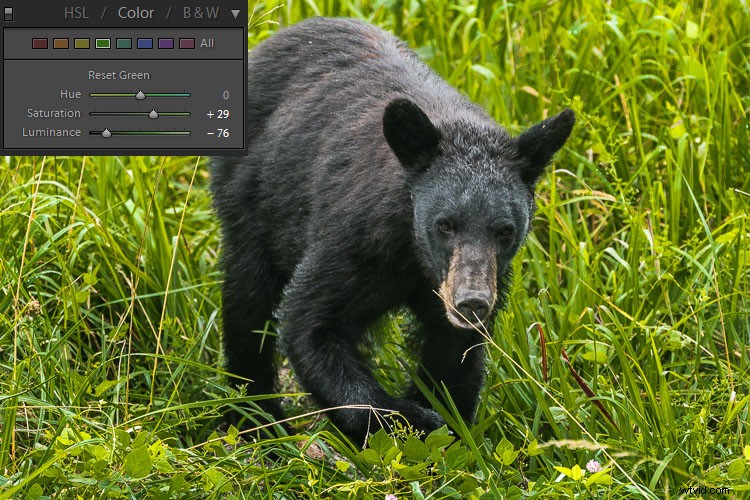 Mastering Exposure for High-Contrast Wildlife Photography: Pro Tips