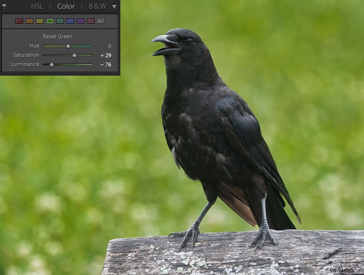Mastering Exposure for High-Contrast Wildlife Photography: Pro Tips