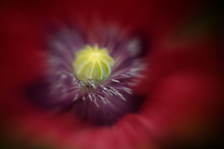 Master Android Smartphone Photography: Expert Tips & Resources