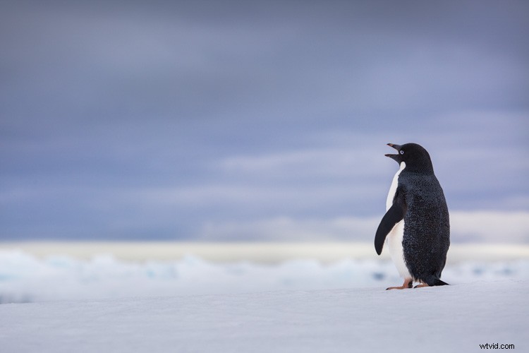 Ultimate Guide: How to Build a Stunning Travel Photography Portfolio