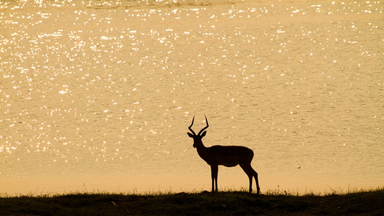 Ultimate Guide: How to Build a Stunning Travel Photography Portfolio