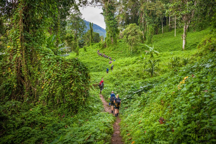 Ultimate Guide: How to Build a Stunning Travel Photography Portfolio