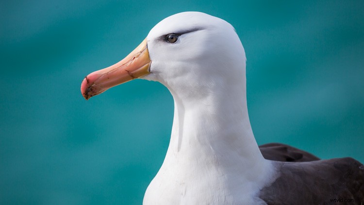 Ultimate Guide: How to Build a Stunning Travel Photography Portfolio