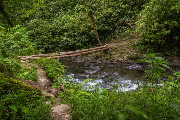 Ultimate Guide: How to Build a Stunning Travel Photography Portfolio