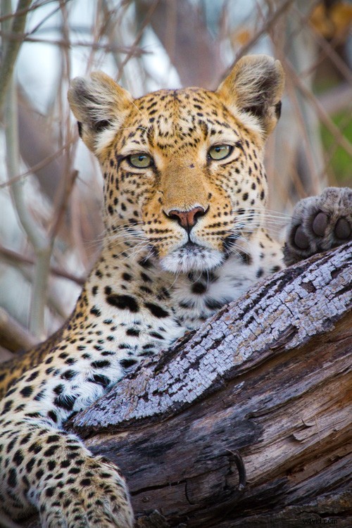 Ultimate Guide: How to Build a Stunning Travel Photography Portfolio