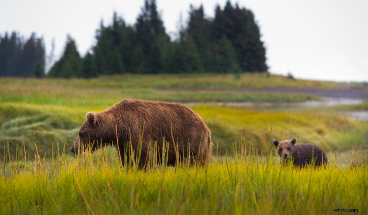 Ultimate Guide: How to Build a Stunning Travel Photography Portfolio