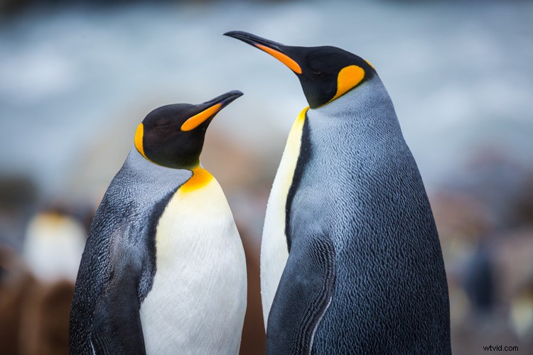 Ultimate Guide: How to Build a Stunning Travel Photography Portfolio