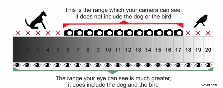 Master Stunning Portraits: Achieve Crisp Black Backgrounds with Pro Tips