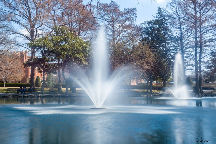 4 Essential Lessons for Aspiring Family Portrait Photographers