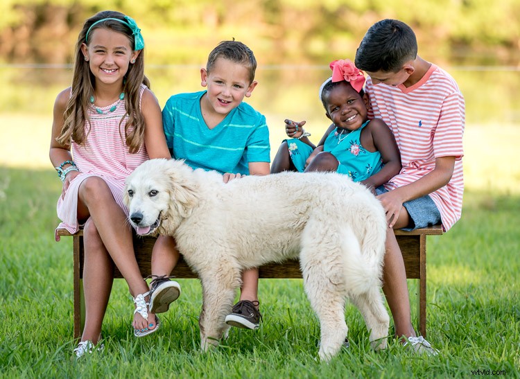 4 Essential Lessons for Aspiring Family Portrait Photographers