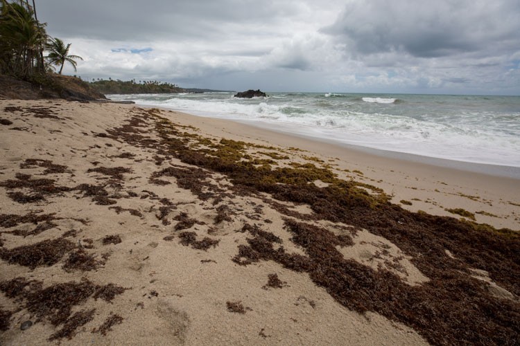 7 Essential Travel Photography Hacks for Stunning Shots Anywhere