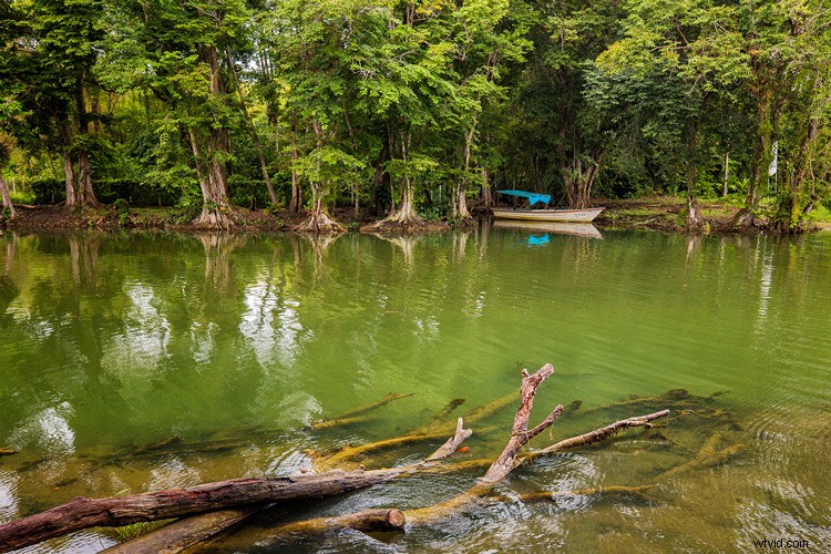 7 Essential Travel Photography Hacks for Stunning Shots Anywhere