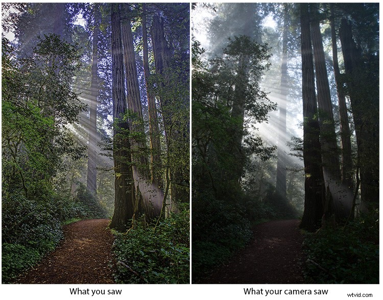 Mastering HDR: Pro Tips for Stunning Landscape Photography