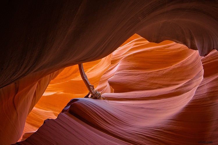 Mastering HDR: Pro Tips for Stunning Landscape Photography