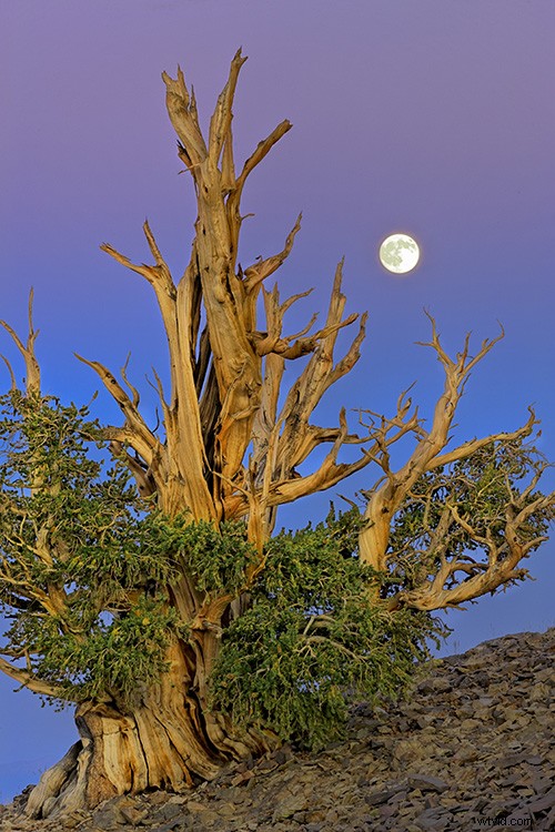 Mastering HDR: Pro Tips for Stunning Landscape Photography