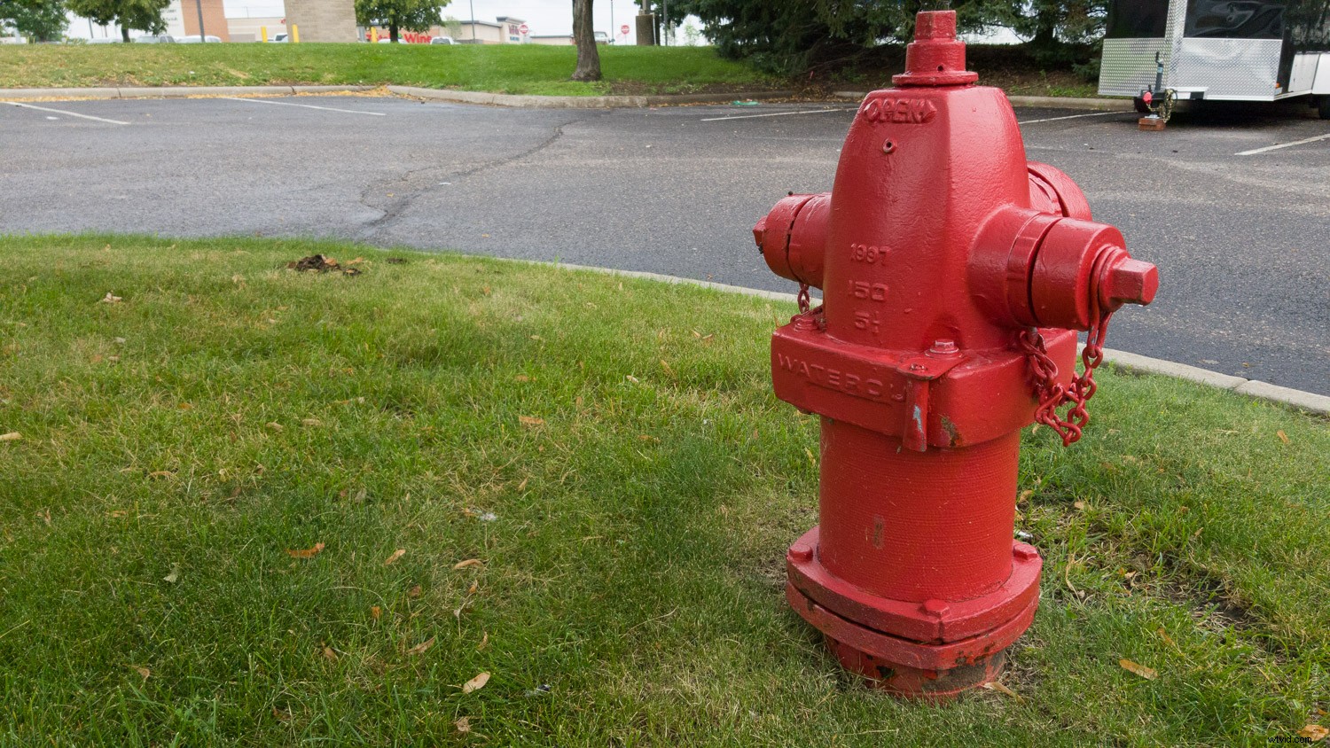 Smartphone vs. DSLR: Can You Spot the Photo Differences?