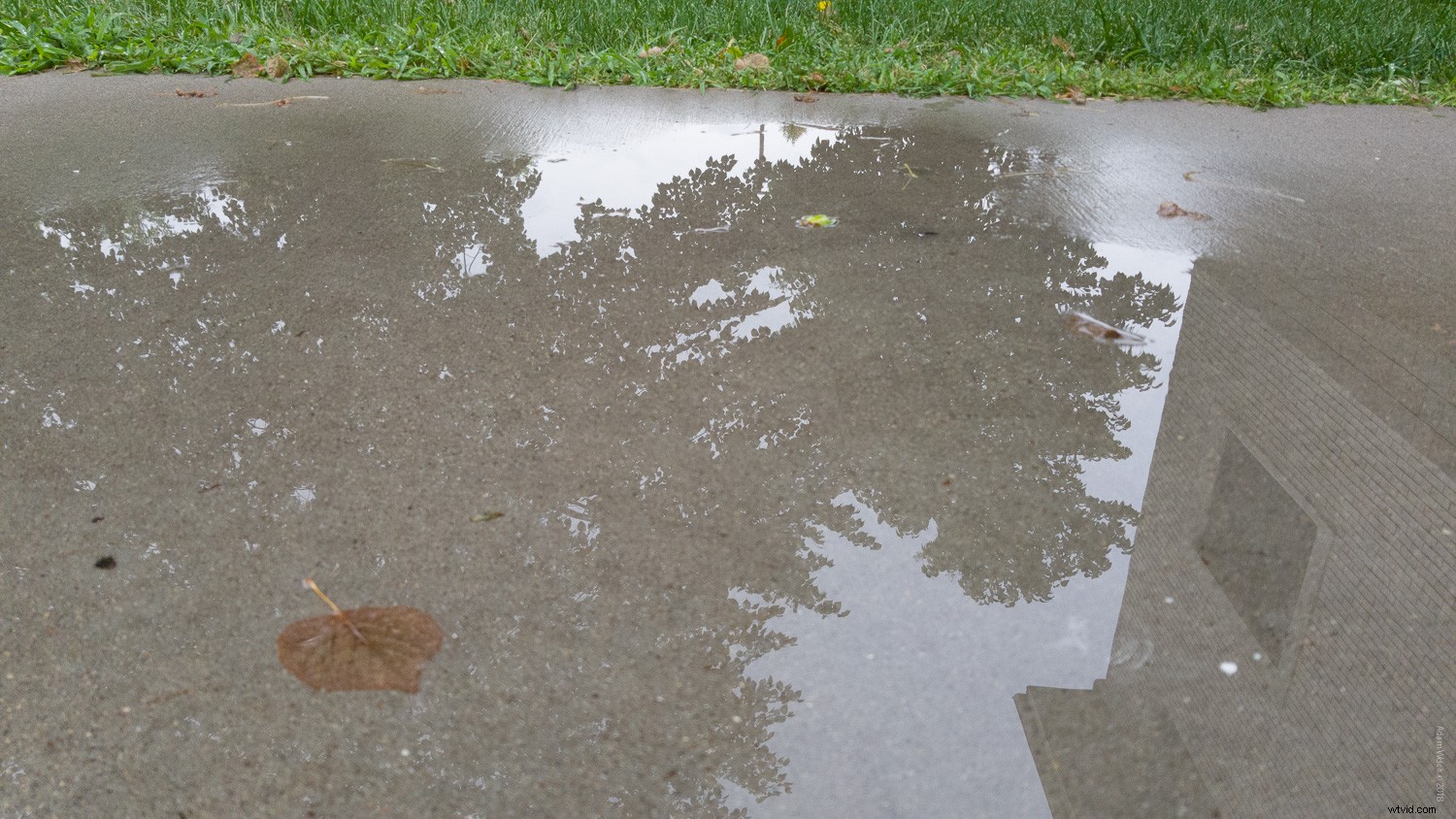 Smartphone vs. DSLR: Can You Spot the Photo Differences?