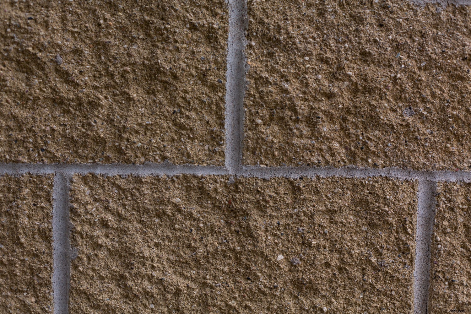 Smartphone vs. DSLR: Can You Spot the Photo Differences?