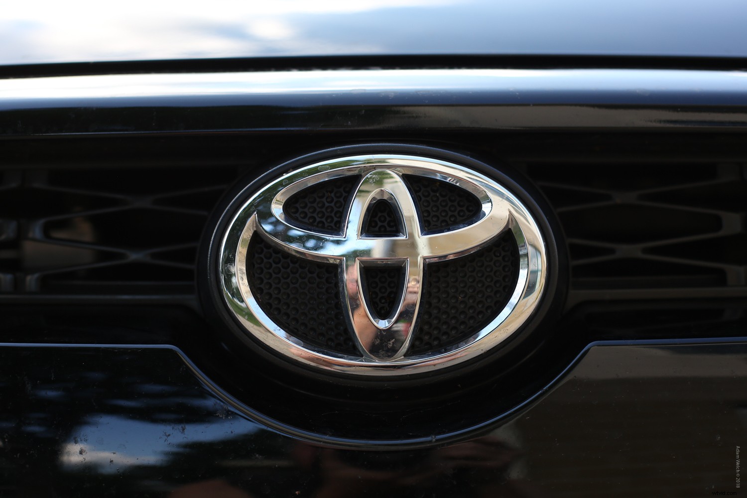 Smartphone vs. DSLR: Can You Spot the Photo Differences?