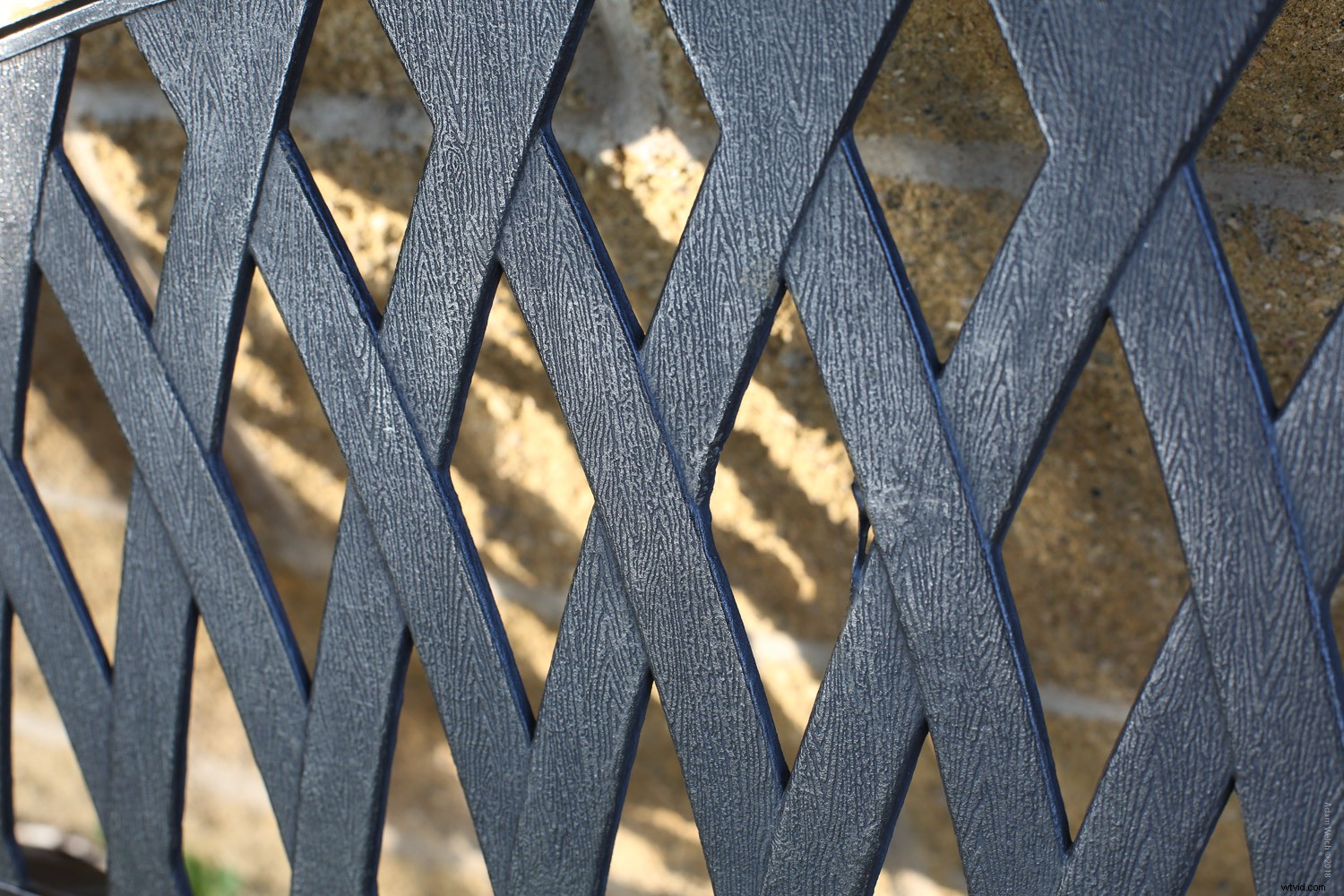 Smartphone vs. DSLR: Can You Spot the Photo Differences?