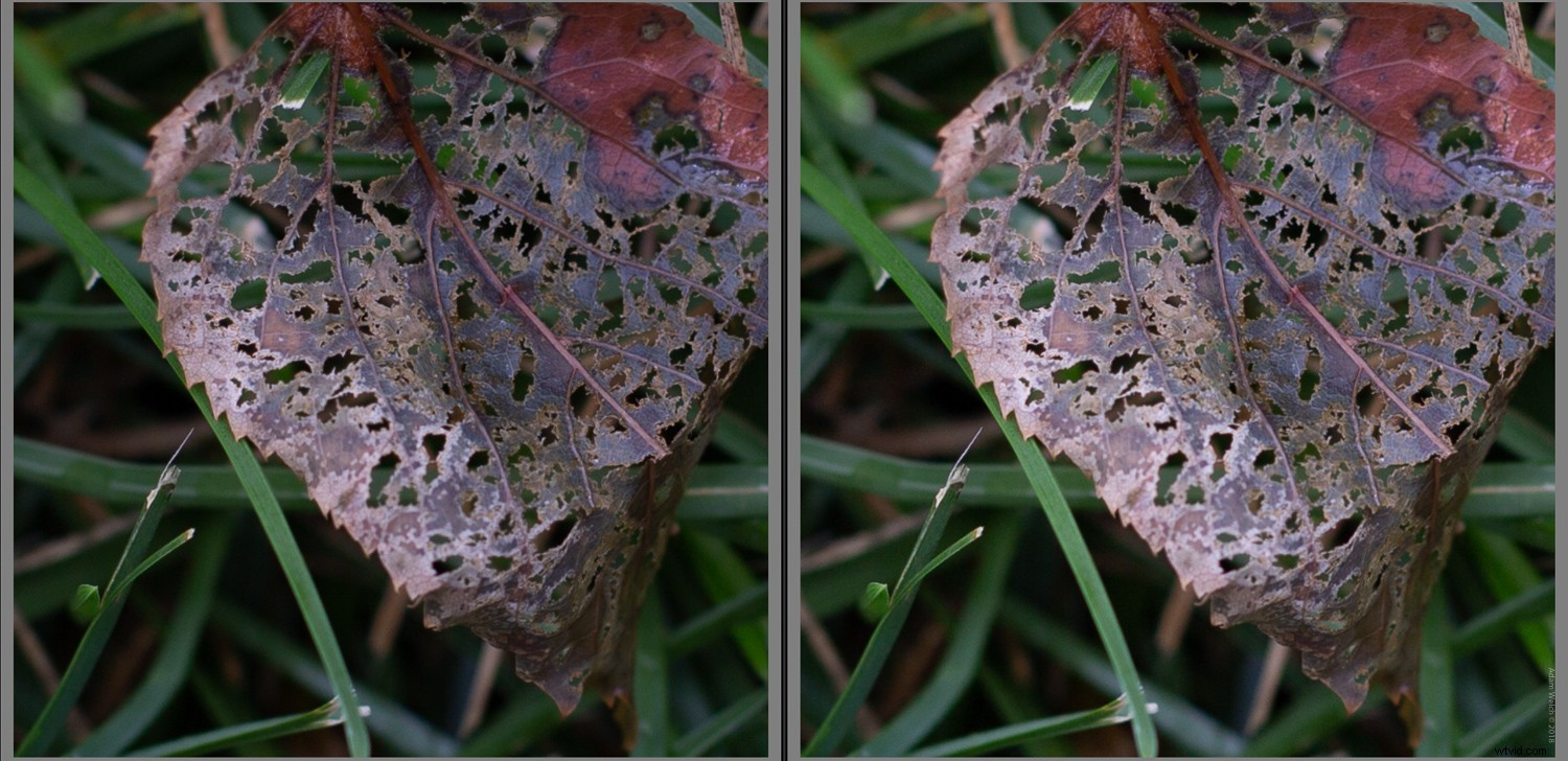 Smartphone vs. DSLR: Can You Spot the Photo Differences?