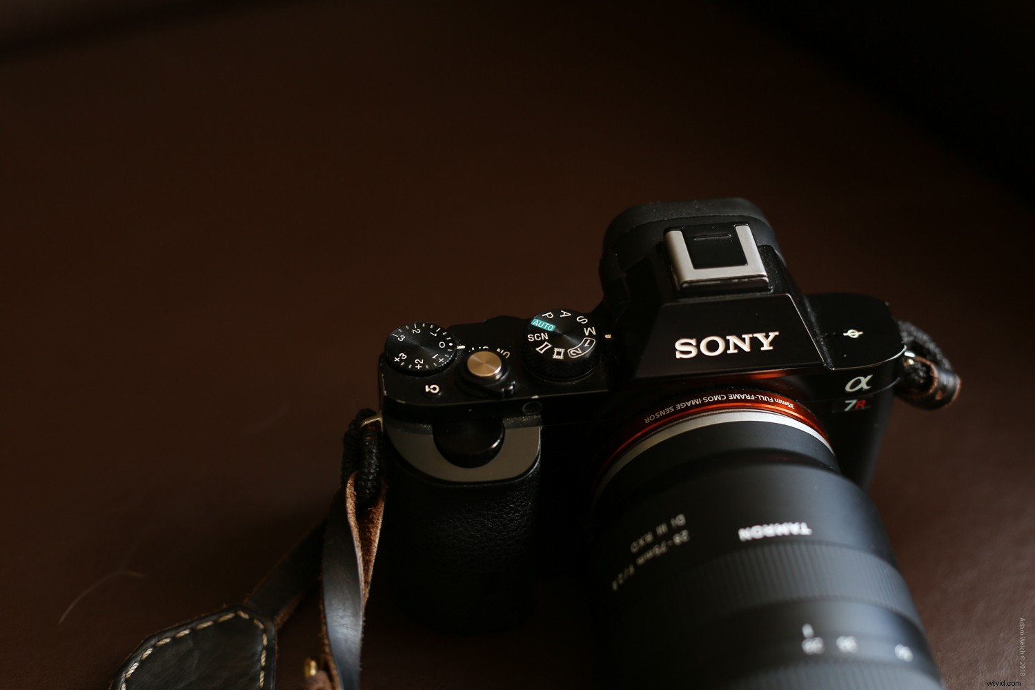 Smartphone vs. DSLR: Can You Spot the Photo Differences?