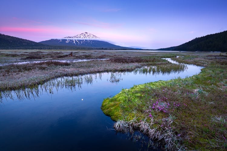 Master Neutral Tones for Lifelike Landscape Photo Edits