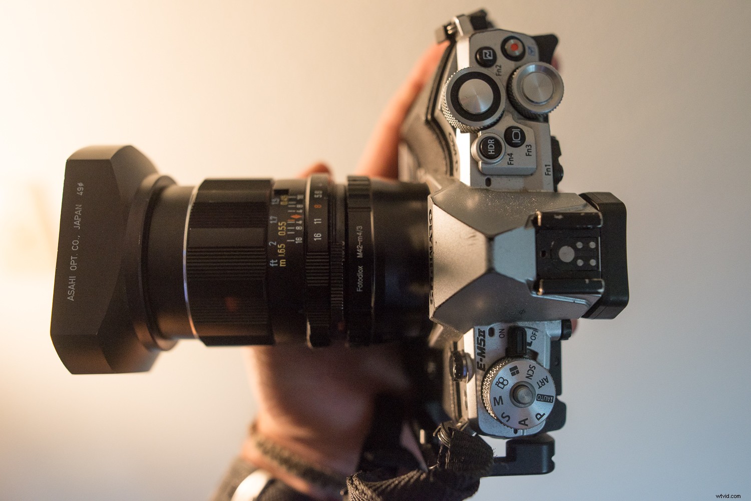 Top Advantages of Micro Four Thirds Cameras for Wildlife Photography