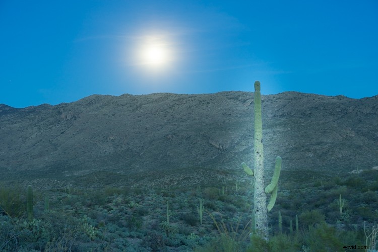 Subtle Editing Mastery: 3 Expert Tips for Realistic Landscape Photo Processing