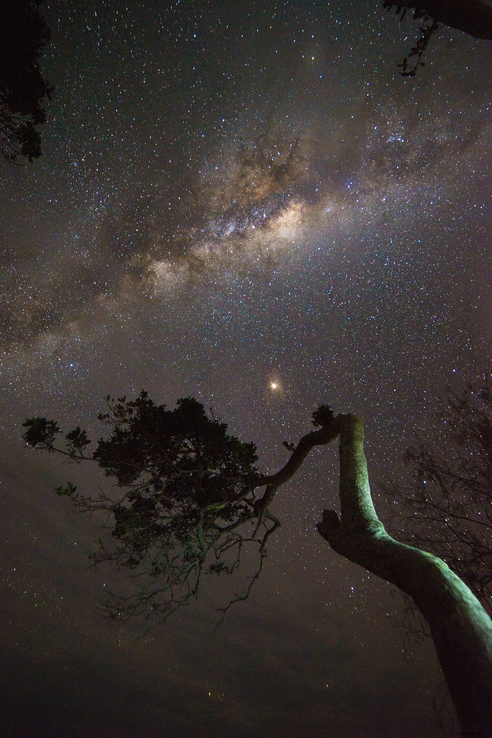 Samyang 14mm f/2.8 Lens Review: Stunning Astrophotography on a Budget