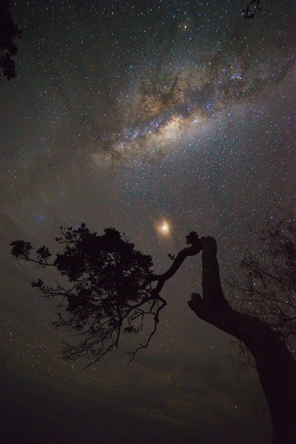 Elevate Your Astrophotography: Master Light Painting for Stunning Night Sky Shots