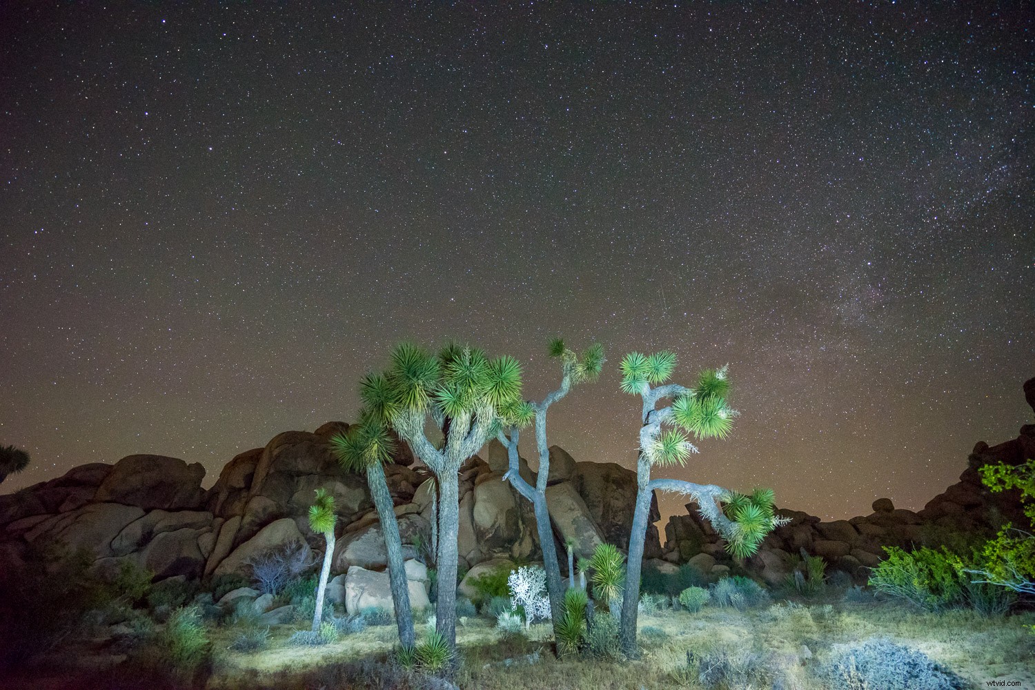 Elevate Your Astrophotography: Master Light Painting for Stunning Night Sky Shots