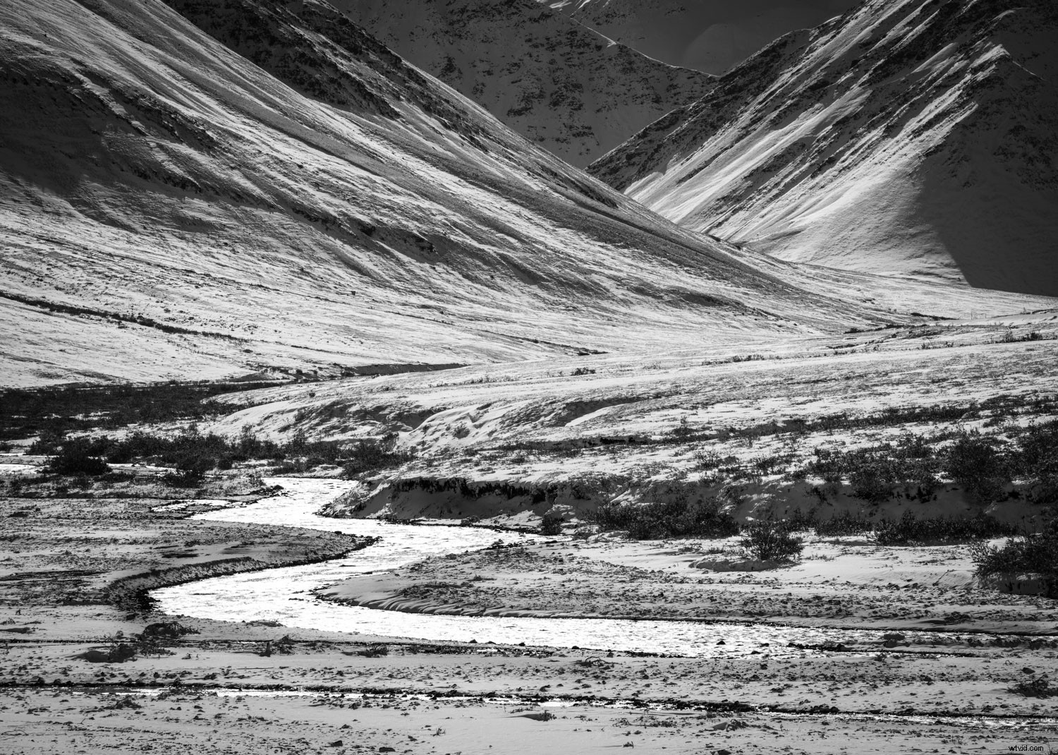 Mastering Monochrome: How to See and Shoot Black & White in Nature