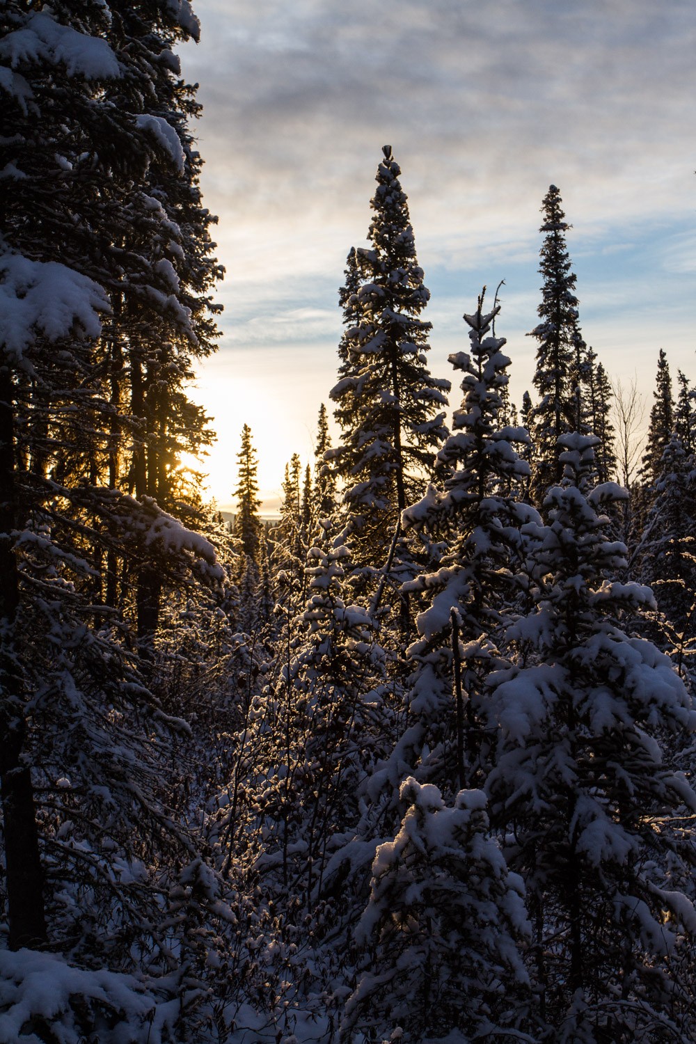 Mastering Monochrome: How to See and Shoot Black & White in Nature