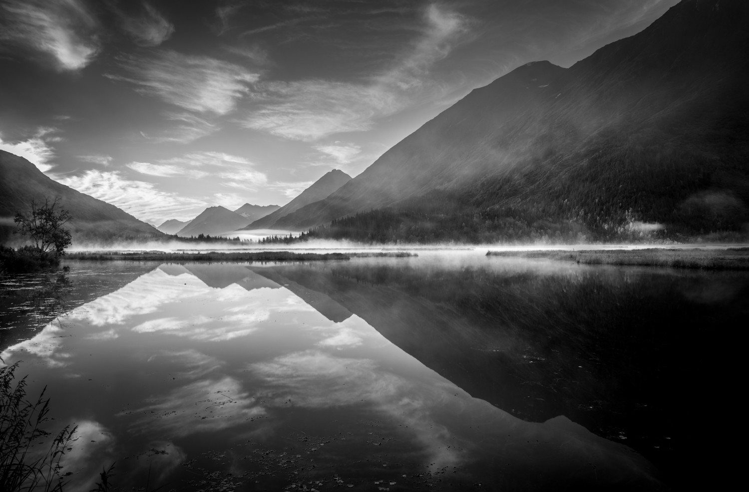 Mastering Monochrome: How to See and Shoot Black & White in Nature