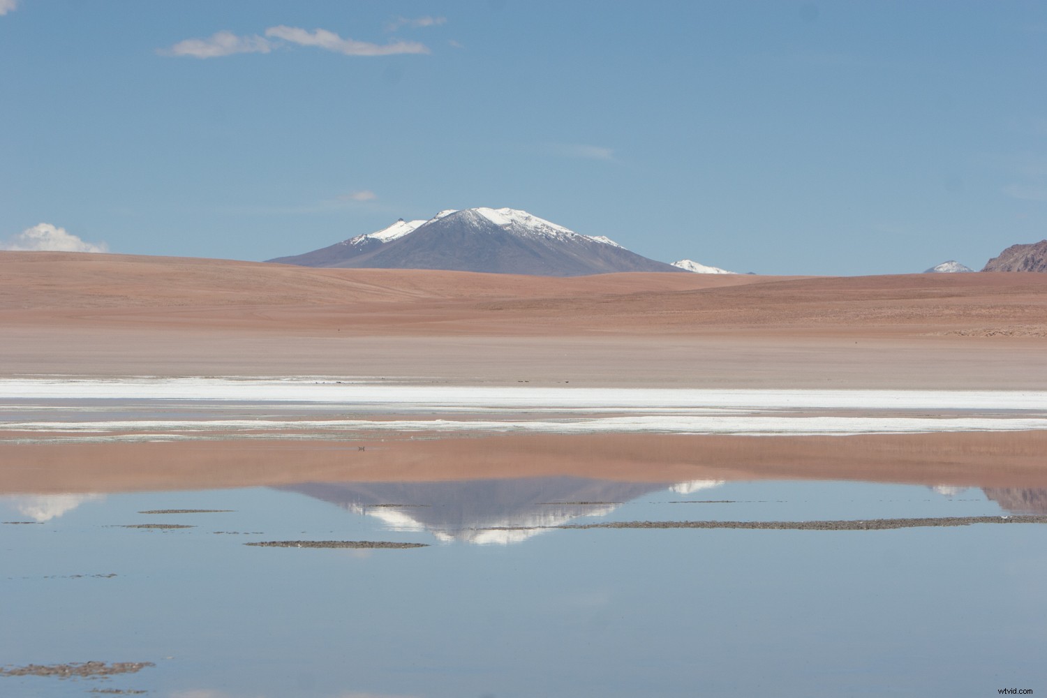 Mastering Monochrome: How to See and Shoot Black & White in Nature