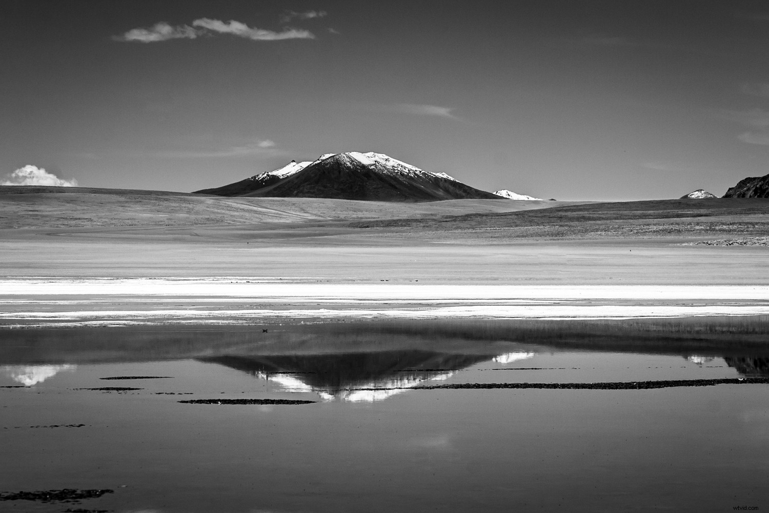 Mastering Monochrome: How to See and Shoot Black & White in Nature