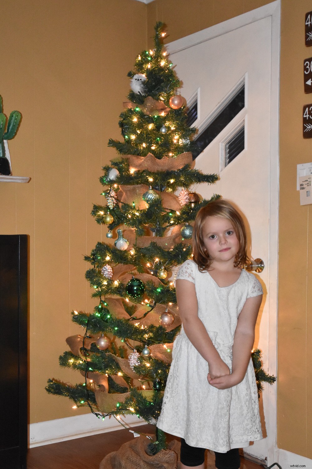 5 Expert Lighting Tips for Stunning Christmas Tree Family Portraits This Holiday Season