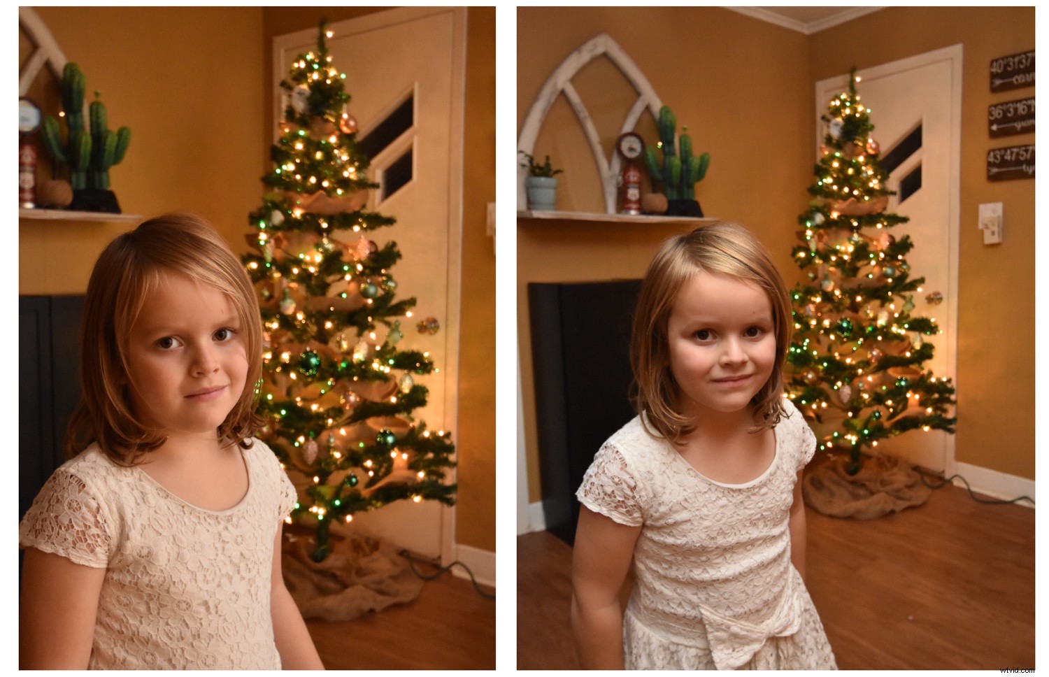 5 Expert Lighting Tips for Stunning Christmas Tree Family Portraits This Holiday Season