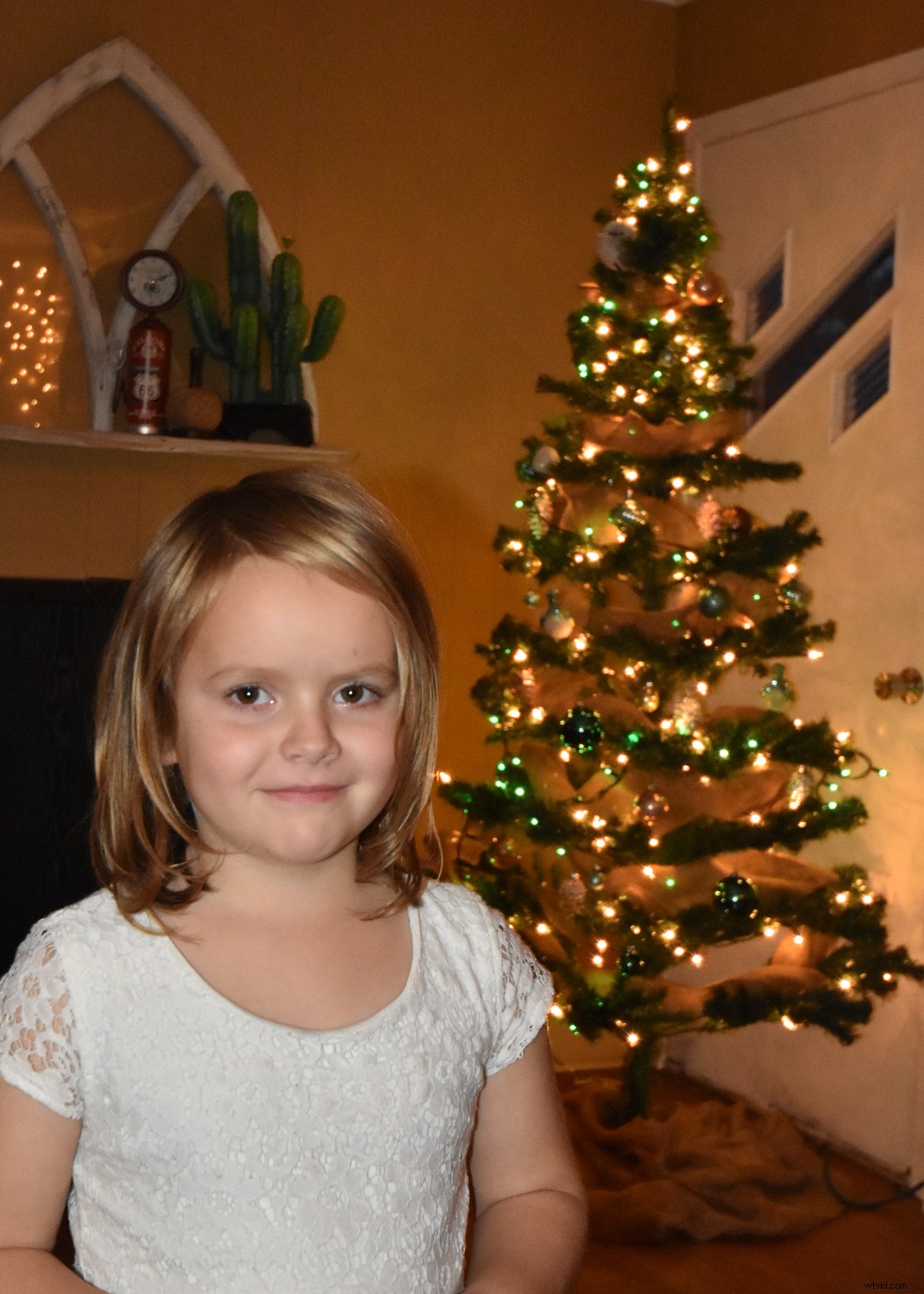 5 Expert Lighting Tips for Stunning Christmas Tree Family Portraits This Holiday Season