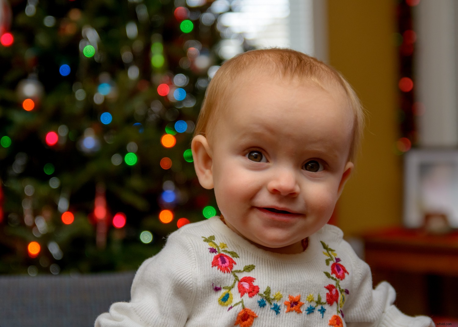 5 Expert Lighting Tips for Stunning Christmas Tree Family Portraits This Holiday Season