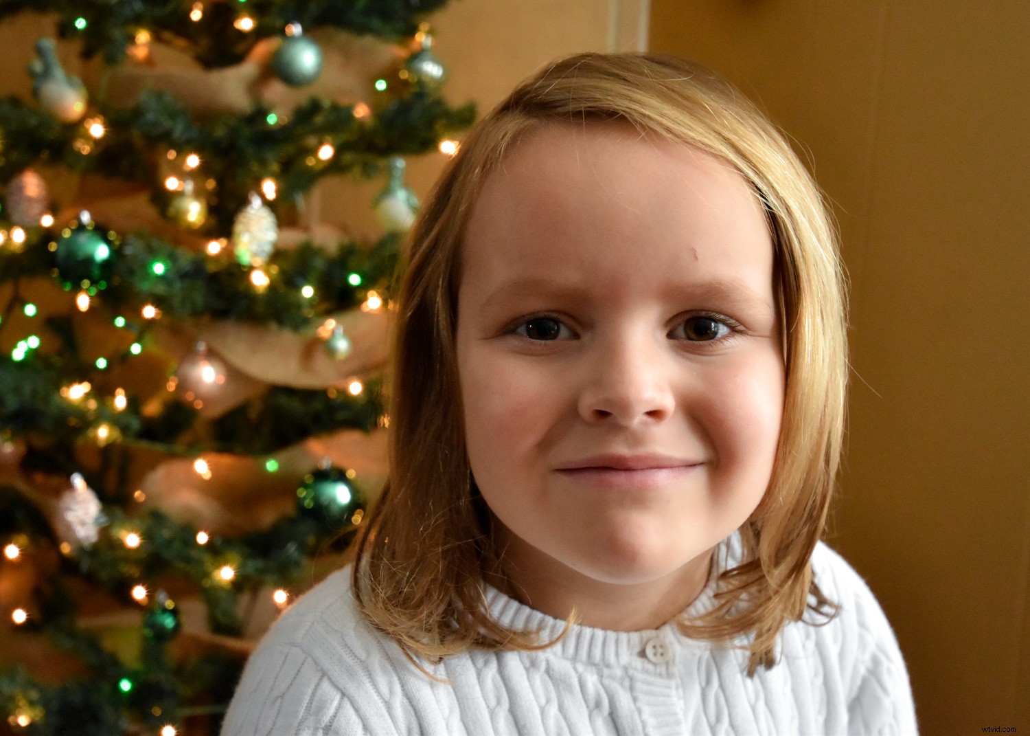 5 Expert Lighting Tips for Stunning Christmas Tree Family Portraits This Holiday Season