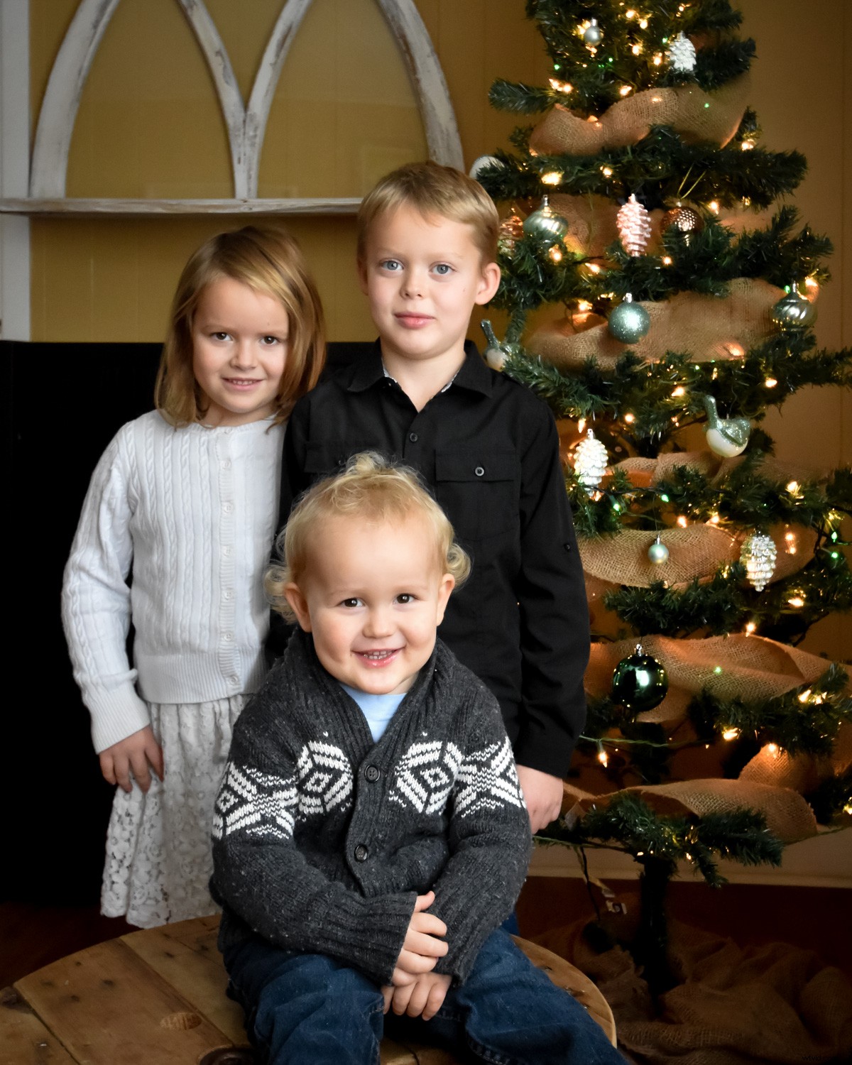 5 Expert Lighting Tips for Stunning Christmas Tree Family Portraits This Holiday Season