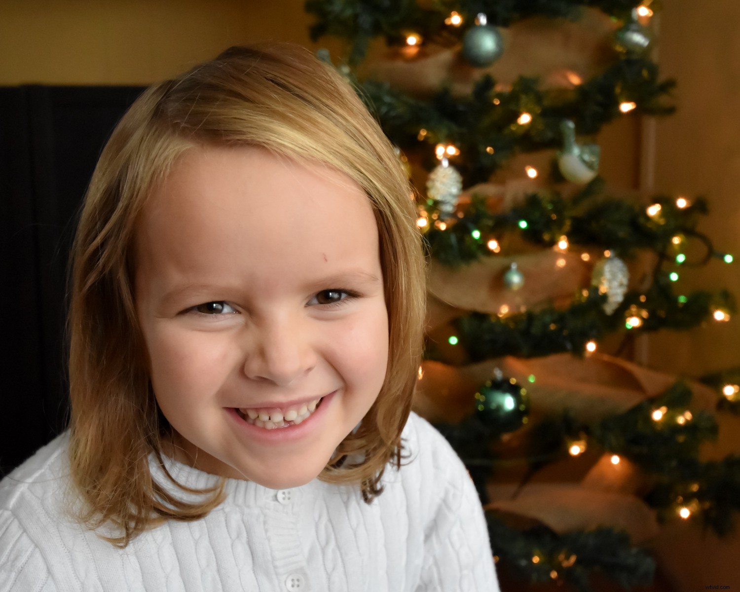5 Expert Lighting Tips for Stunning Christmas Tree Family Portraits This Holiday Season